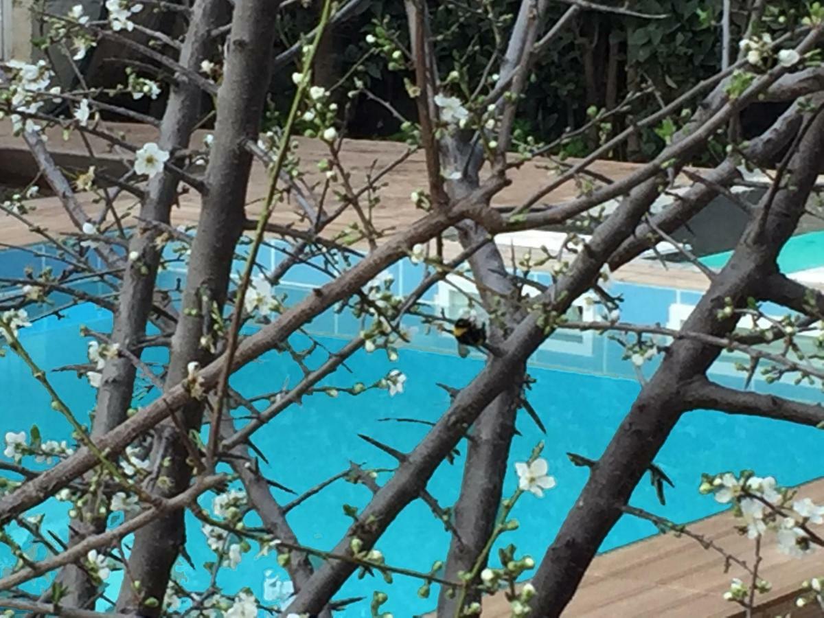 Sunny Rhodes Villa Koskinou  ภายนอก รูปภาพ