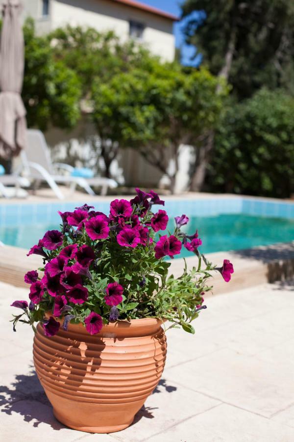 Sunny Rhodes Villa Koskinou  ภายนอก รูปภาพ